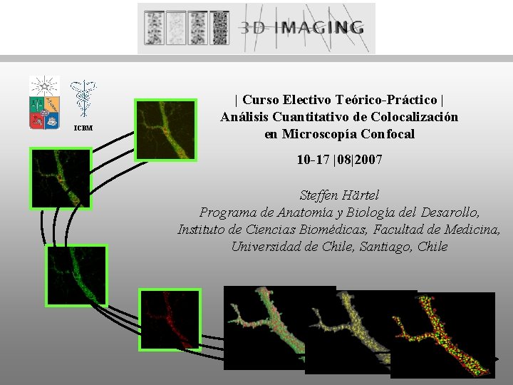 ICBM | Curso Electivo Teórico-Práctico | Análisis Cuantitativo de Colocalización en Microscopía Confocal 10