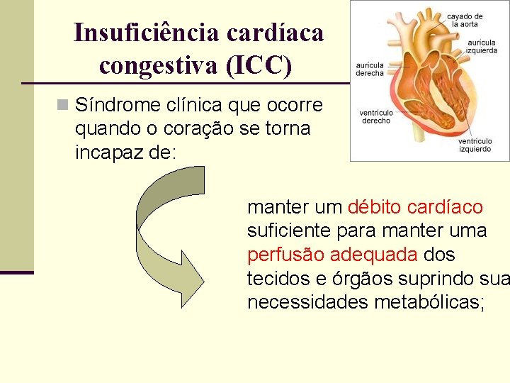 Insuficiência cardíaca congestiva (ICC) n Síndrome clínica que ocorre quando o coração se torna