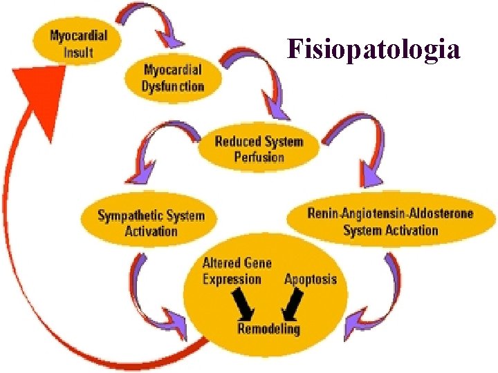 Fisiopatologia 