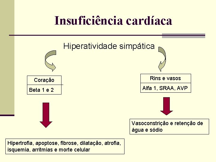 Insuficiência cardíaca Hiperatividade simpática Coração Beta 1 e 2 Rins e vasos Alfa 1,