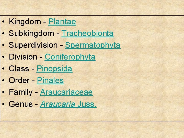  • • Kingdom - Plantae Subkingdom - Tracheobionta Superdivision - Spermatophyta Division -