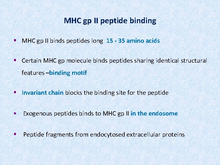 MHC gp II peptide binding § MHC gp II binds peptides long 15 -