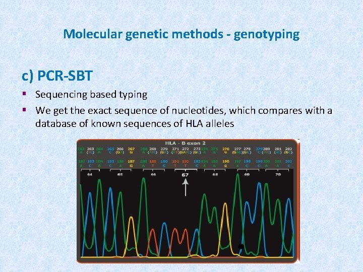 Molecular genetic methods - genotyping c) PCR-SBT § Sequencing based typing § We get