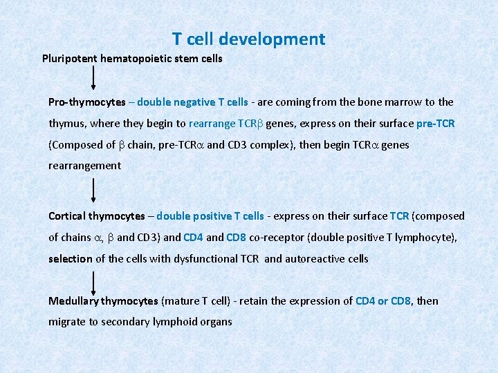 T cell development Pluripotent hematopoietic stem cells Pro-thymocytes – double negative T cells -
