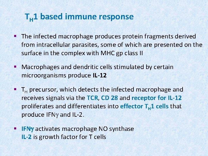 TH 1 based immune response § The infected macrophage produces protein fragments derived from