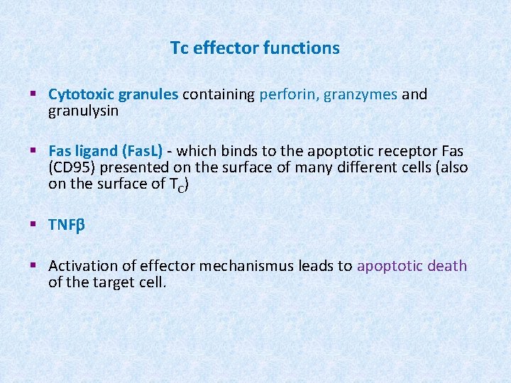 Tc effector functions § Cytotoxic granules containing perforin, granzymes and granulysin § Fas ligand