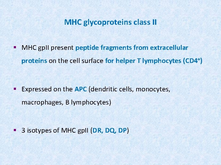 MHC glycoproteins class II § MHC gp. II present peptide fragments from extracellular proteins