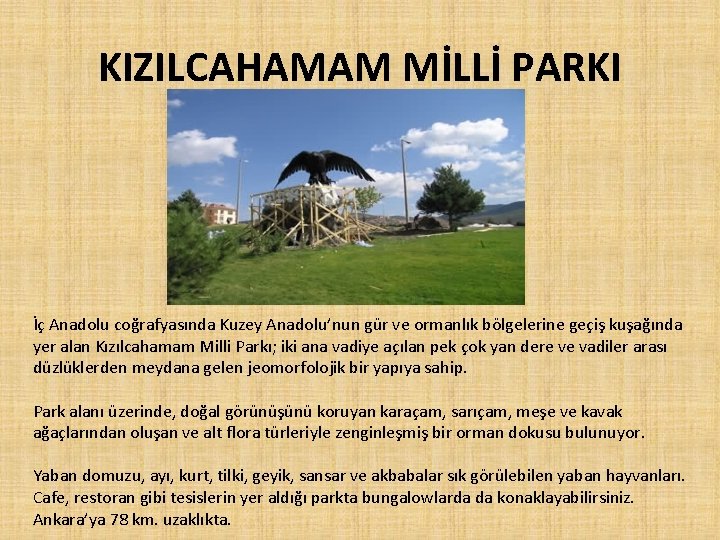 KIZILCAHAMAM MİLLİ PARKI İç Anadolu coğrafyasında Kuzey Anadolu’nun gür ve ormanlık bölgelerine geçiş kuşağında