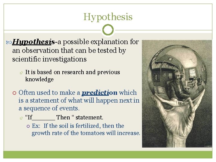 Hypothesis Hypothesis-a possible explanation for an observation that can be tested by scientific investigations