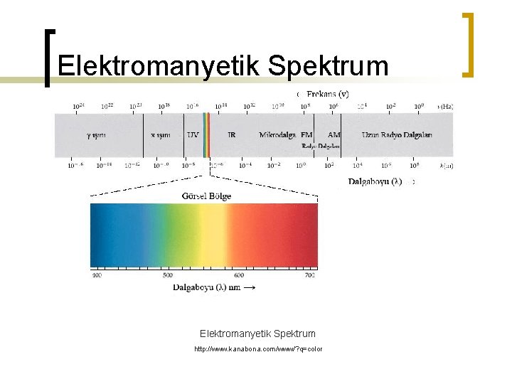 Elektromanyetik Spektrum http: //www. kanabona. com/www/? q=color 