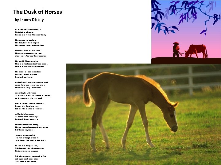 The Dusk of Horses by James Dickey Right under their noses, the green Of