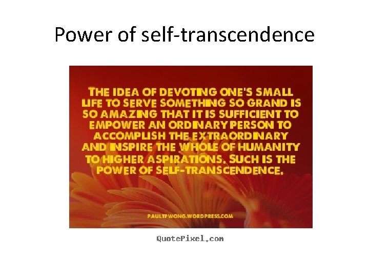 Power of self-transcendence 