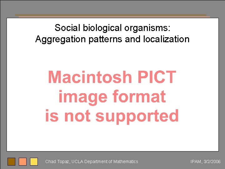 Social biological organisms: Aggregation patterns and localization Chad Topaz, UCLA Department of Mathematics IPAM,