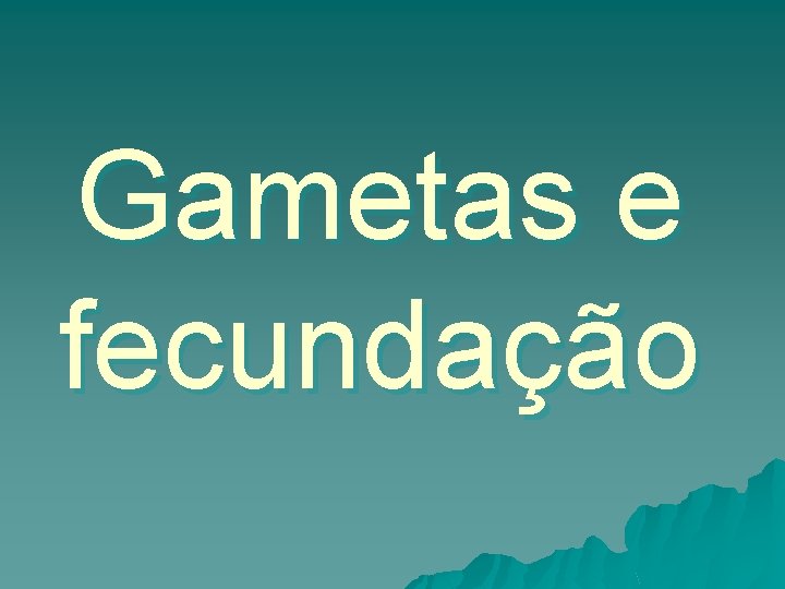 Gametas e fecundação 