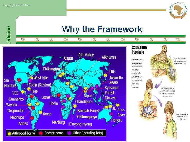 One world, One Africa, One health & One medicine Copyrights© 2004 AU Why the