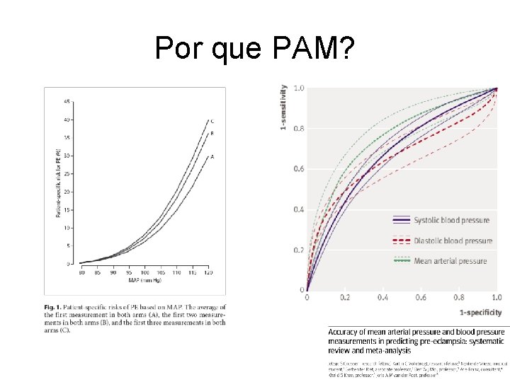 Por que PAM? 