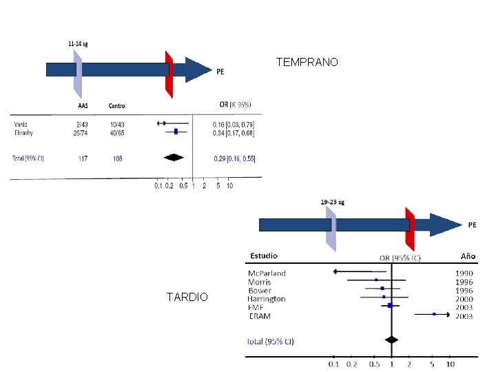 TEMPRANO TARDIO 