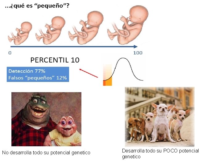 No desarrolla todo su potencial genetico Desarrolla todo su POCO potencial genetico 
