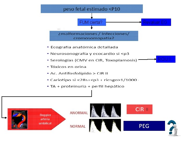 FUM cierta? Revaluar EG RCIU I II 