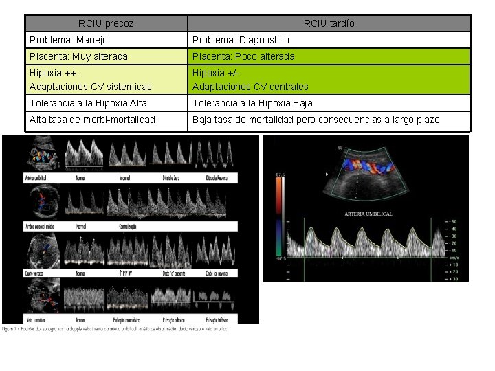 RCIU precoz RCIU tardío Problema: Manejo Problema: Diagnostico Placenta: Muy alterada Placenta: Poco alterada