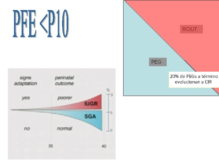 RCIUT PEG 