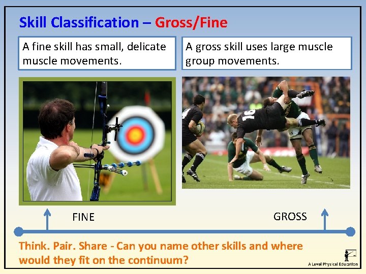 Skill Classification – Gross/Fine A fine skill has small, delicate muscle movements. FINE A