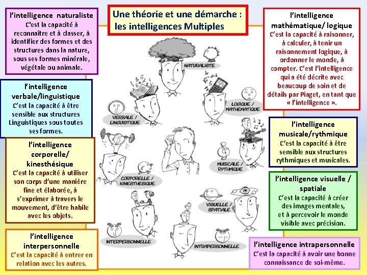 l’intelligence naturaliste C'est la capacité à reconnaître et à classer, à identifier des formes