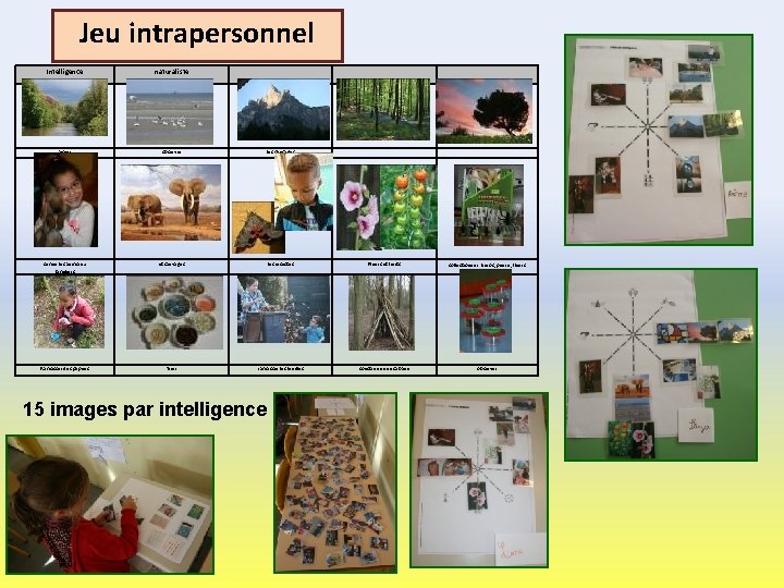 Jeu intrapersonnel Intelligence naturaliste aimer observer les paysages Aimer les animaux familiers et sauvages