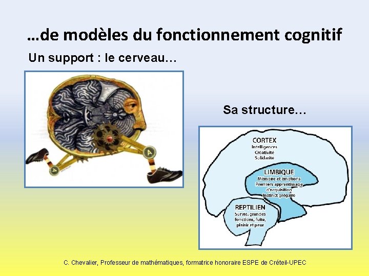 …de modèles du fonctionnement cognitif Un support : le cerveau… Sa structure… C. Chevalier,