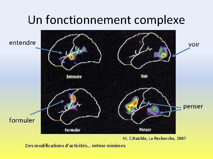 Un fonctionnement complexe entendre voir penser formuler M. E. Raichle, La Recherche, 2007 Des