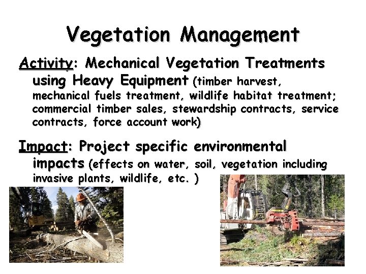 Vegetation Management Activity: Mechanical Vegetation Treatments using Heavy Equipment (timber harvest, mechanical fuels treatment,