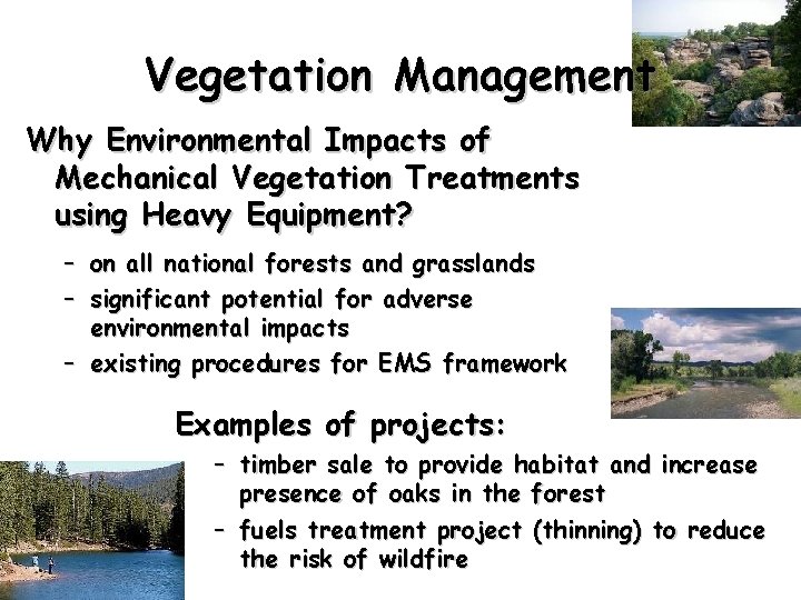 Vegetation Management Why Environmental Impacts of Mechanical Vegetation Treatments using Heavy Equipment? – –