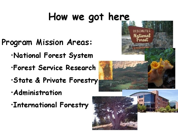 How we got here Program Mission Areas: • National Forest System • Forest Service