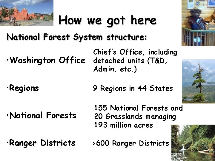 How we got here National Forest System structure: • Washington Office Chief’s Office, including