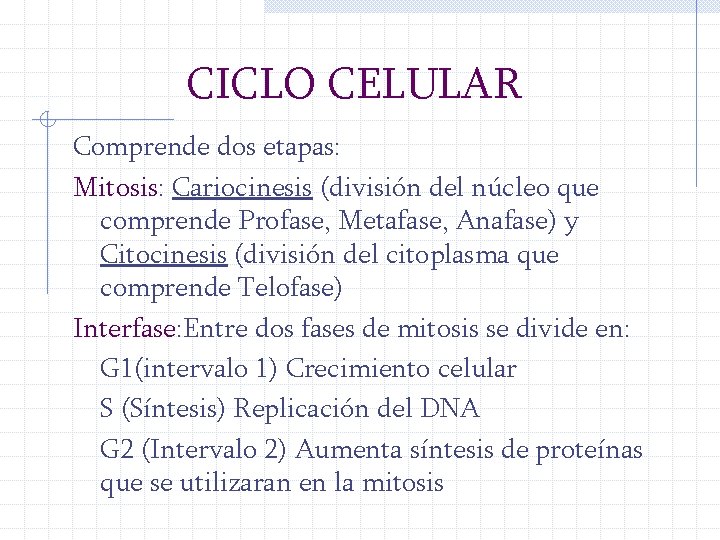 CICLO CELULAR Comprende dos etapas: Mitosis: Cariocinesis (división del núcleo que comprende Profase, Metafase,