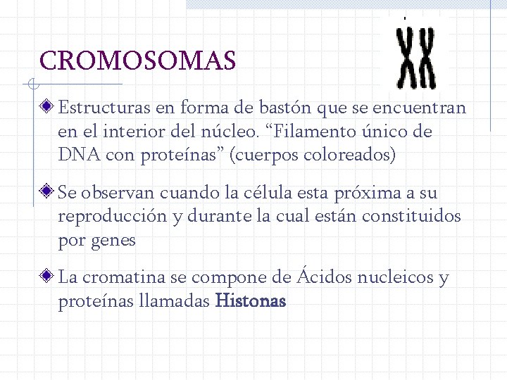 CROMOSOMAS Estructuras en forma de bastón que se encuentran en el interior del núcleo.