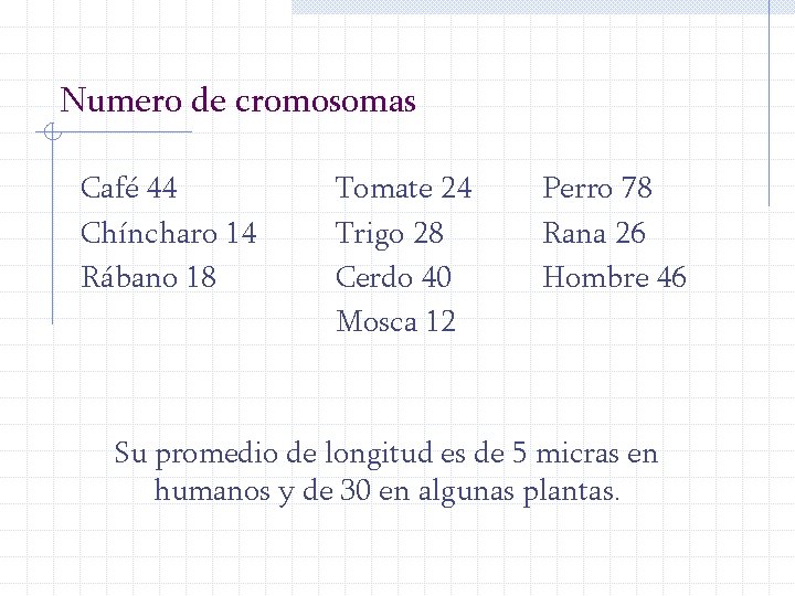 Numero de cromosomas Café 44 Chíncharo 14 Rábano 18 Tomate 24 Trigo 28 Cerdo