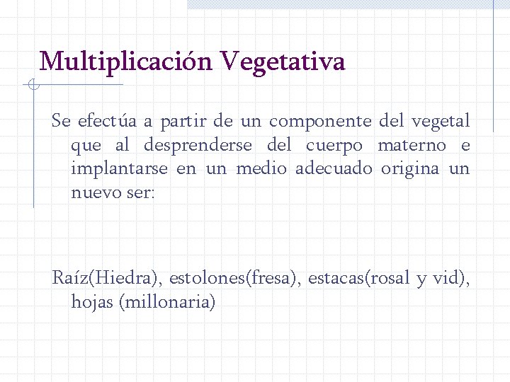 Multiplicación Vegetativa Se efectúa a partir de un componente del vegetal que al desprenderse