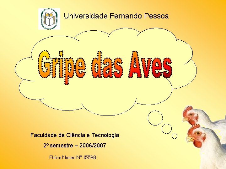 Universidade Fernando Pessoa Faculdade de Ciência e Tecnologia 2º semestre – 2006/2007 Flávio Nunes