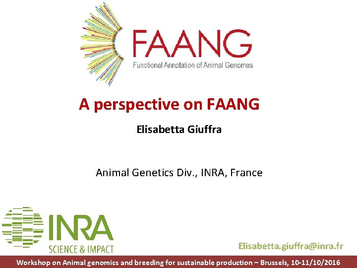 A perspective on FAANG Elisabetta Giuffra Animal Genetics Div. , INRA, France Elisabetta. giuffra@inra.