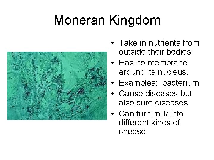 Moneran Kingdom • Take in nutrients from outside their bodies. • Has no membrane