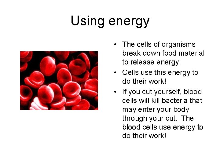 Using energy • The cells of organisms break down food material to release energy.