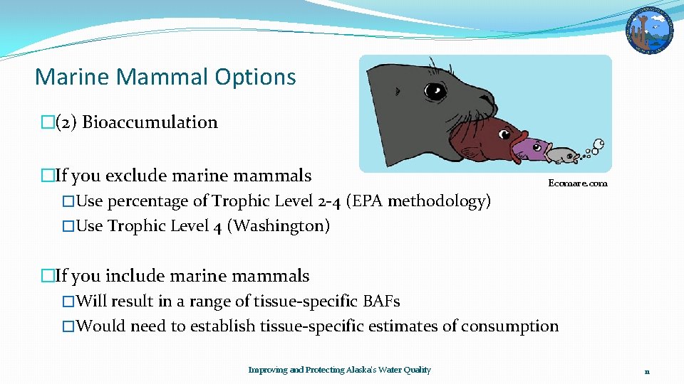 Marine Mammal Options �(2) Bioaccumulation �If you exclude marine mammals �Use percentage of Trophic