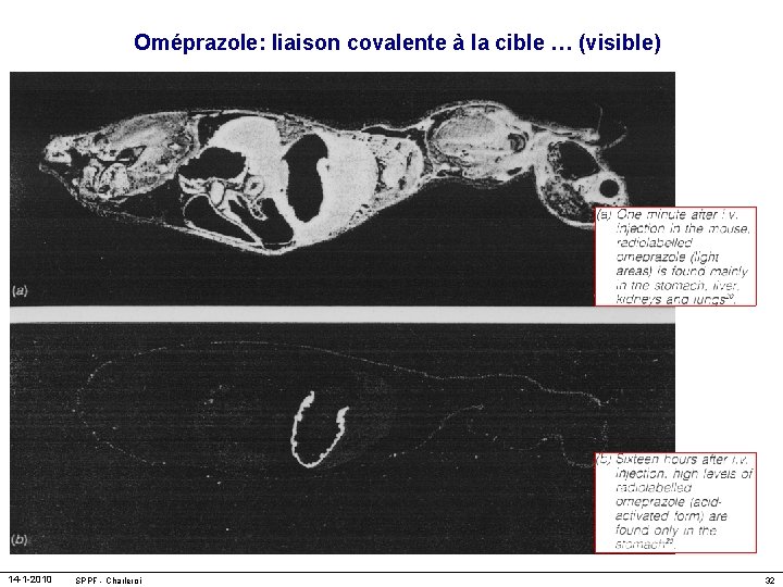 Oméprazole: liaison covalente à la cible … (visible) 14 -1 -2010 SPPF - Charleroi