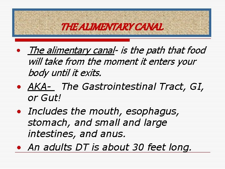 THE ALIMENTARY CANAL • The alimentary canal- is the path that food will take