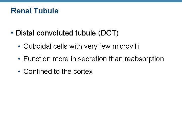 Renal Tubule • Distal convoluted tubule (DCT) • Cuboidal cells with very few microvilli