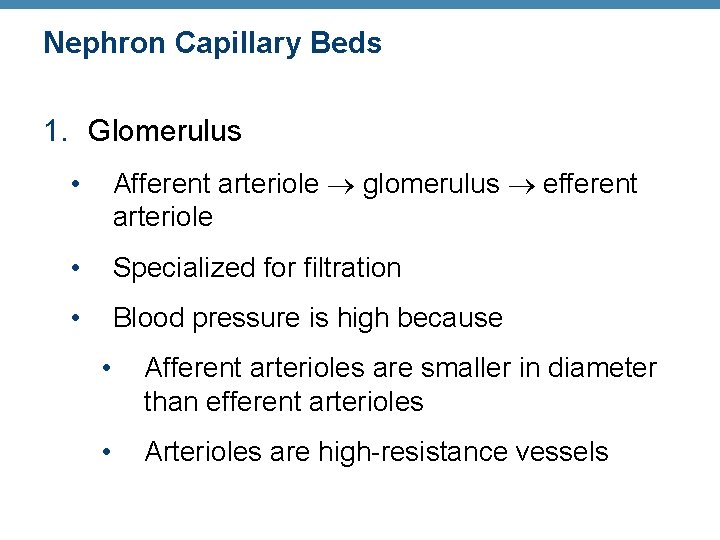 Nephron Capillary Beds 1. Glomerulus • Afferent arteriole glomerulus efferent arteriole • Specialized for