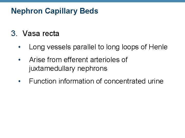 Nephron Capillary Beds 3. Vasa recta • Long vessels parallel to long loops of