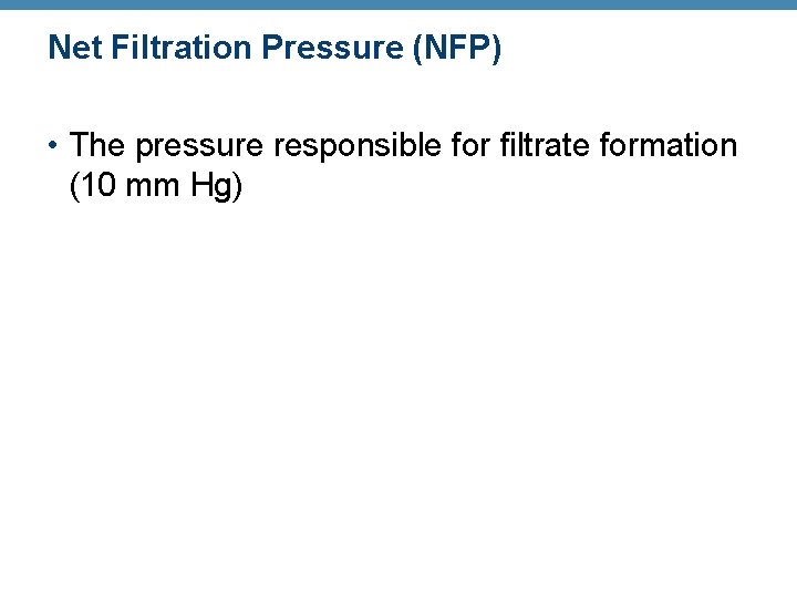 Net Filtration Pressure (NFP) • The pressure responsible for filtrate formation (10 mm Hg)