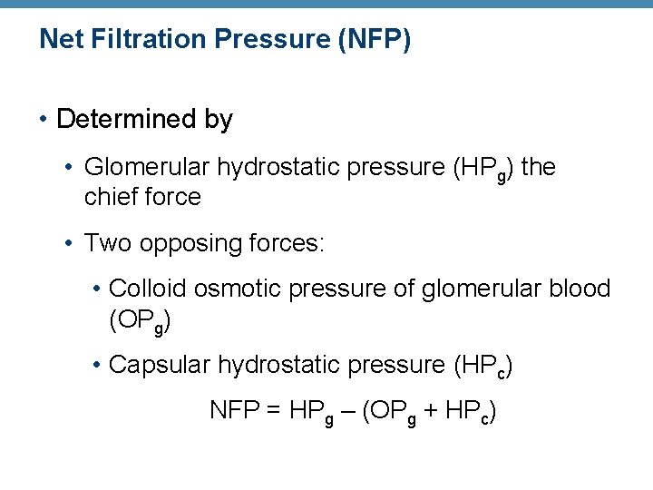 Net Filtration Pressure (NFP) • Determined by • Glomerular hydrostatic pressure (HPg) the chief